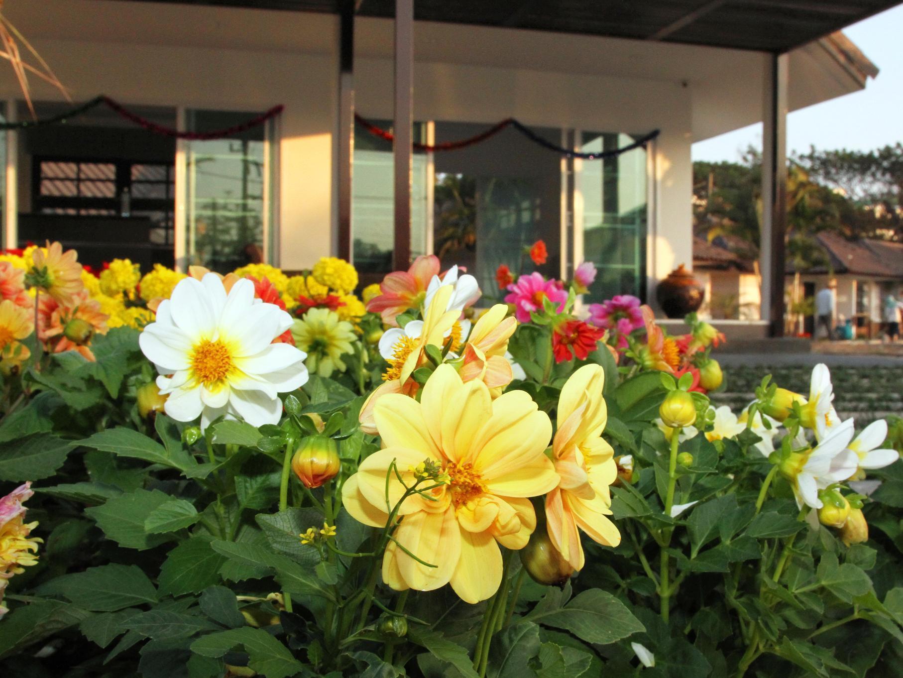 Chiangrai Green Park Resort Chiang Rai Buitenkant foto